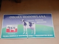 DSCN8815_wynik